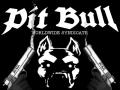 Pit_bull_