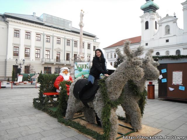 DSCF1569