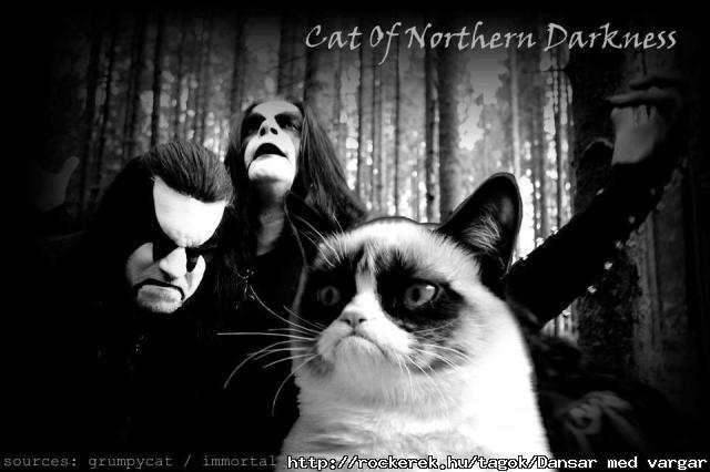 Black Metal  Cat