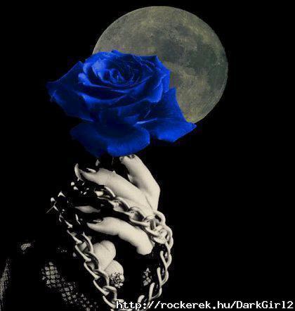 goth rose