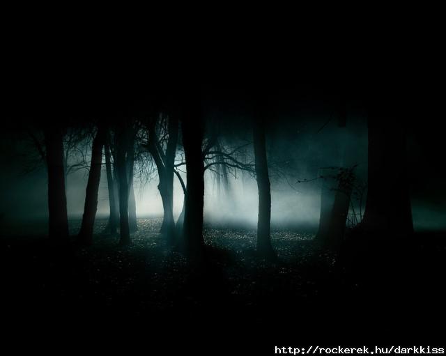 dark-forest-night-image