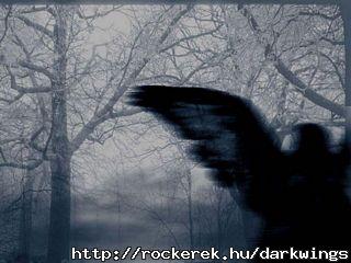 dark_wings-med