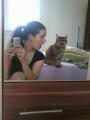 Dava