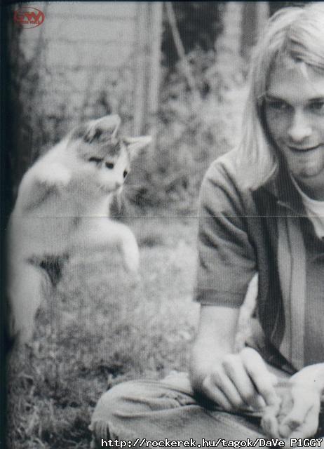 kurt_cobain___cat