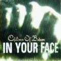 Children Of Bodom - In Your Face (2005)