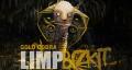 Limp Bizkit J ALBUM (Gold cobra)