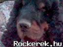 Blackie egy 2006os Jnos-hegyi Rockerek.hu-tallkozn