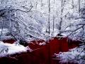 blood_lake_Wallpaper_nr5b1