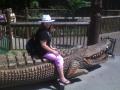 llatkertben egy krokodilon :)