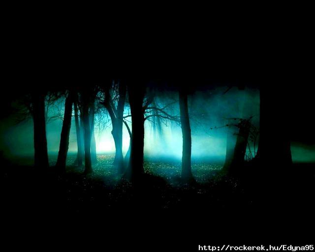 dark-forest-night