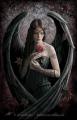 Angel_Rose_by_Ironshod