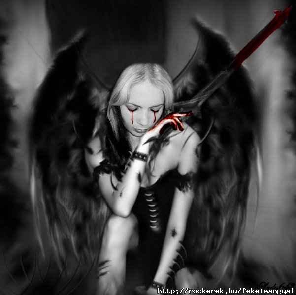 dark_angel_by_lady643