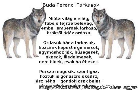 farkasok
