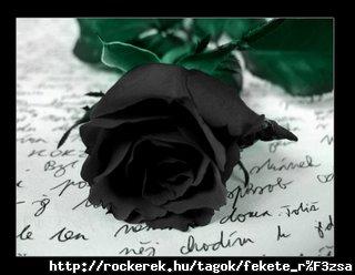 black+rose3