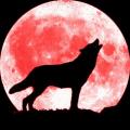 Wolf  Moon