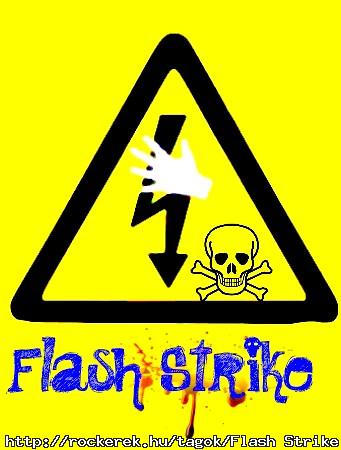 Flash Strike band 