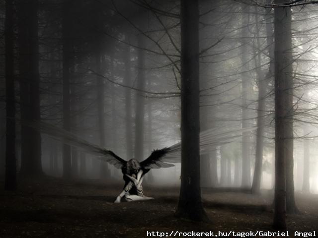dark-angel-forest-image