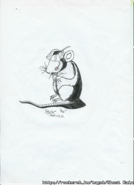 Rat 2010