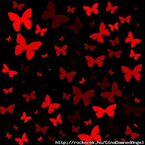 red-butterfly-black-layout