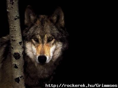 k_0889_wolf