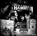 Hammer 2014/Marc