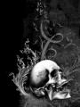 Dark_Skull