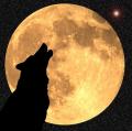 Wolf-Moon