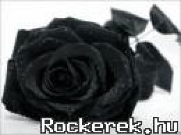 rockmother