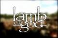 lamb of gud