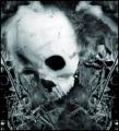 goth skull in white