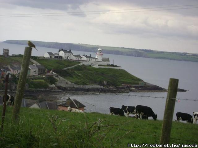 Roches Point