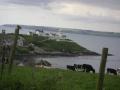 Roches Point