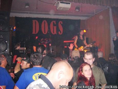 Dogs buli2007.10.20. 020