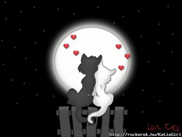 love_moon_cats1