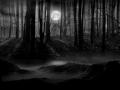 Dark.Forest