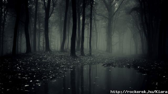 Dark-Forest-11
