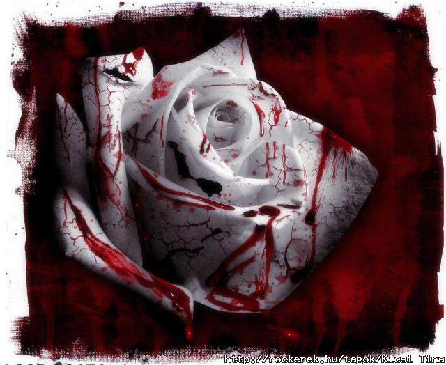 Bloody Rose