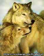 A legmagnyosabb farkasnak is kell egy trs:)