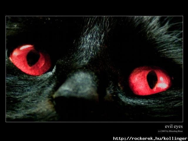 Evil_Eyes_by_bleeding_rose
