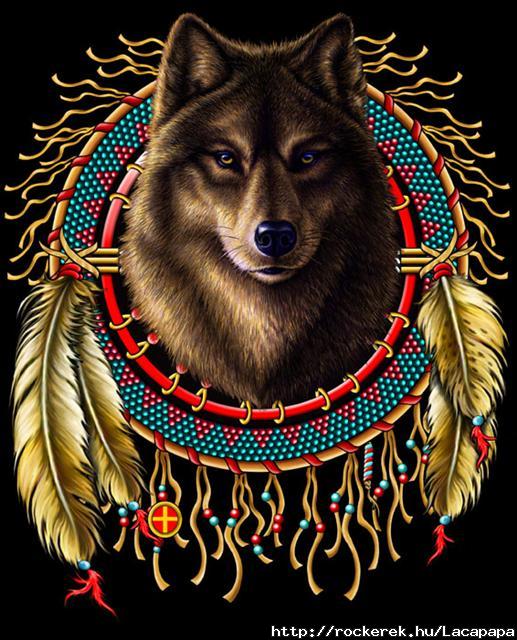 Indian wolf