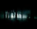 Dark-Forest