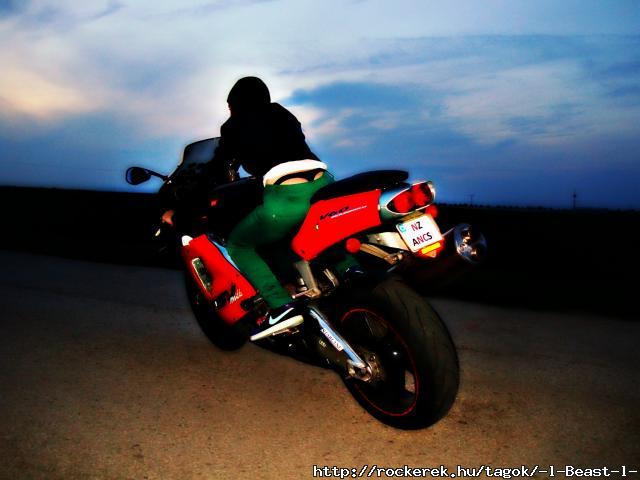 Aprilia RSV Mille 2000