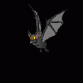 Bat-01-june