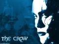 croww