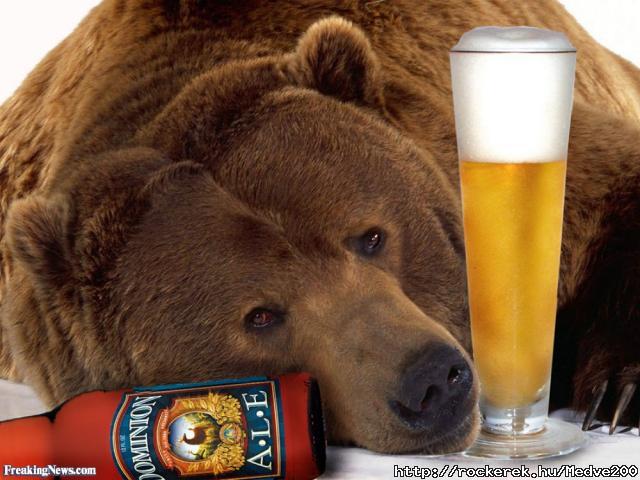 Bear-with-a-Beer-54123