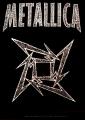 Metallica 05