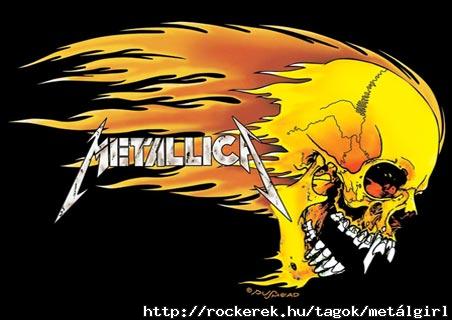 lgpp0338+metallica-logo-skull-flames-metallica-poster