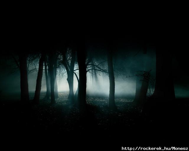 Dark-Forest