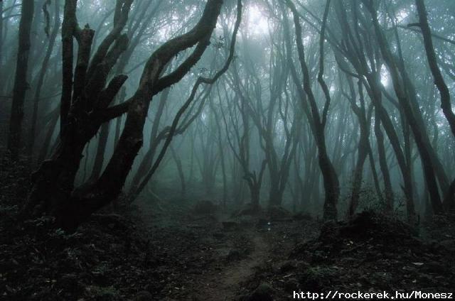 dark_forest