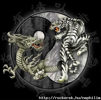 tiger and dragon